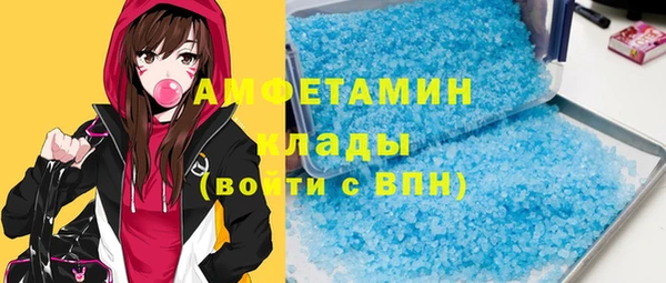 индика Каменка