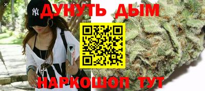 спиды Краснодар