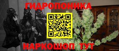 тгк Краснокаменск
