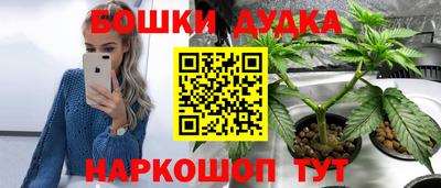 спиды Краснодар
