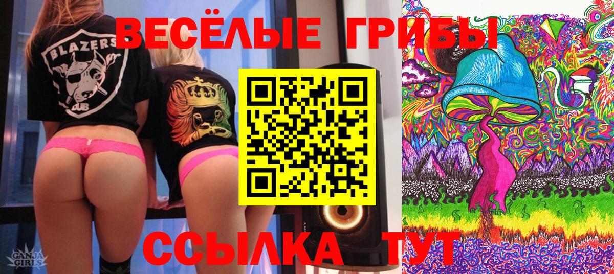 Елизово  Галлюциногенные грибы MAGIC MUSHROOMS  Псилоцибиновые грибы мицелий  Вход с VPN 