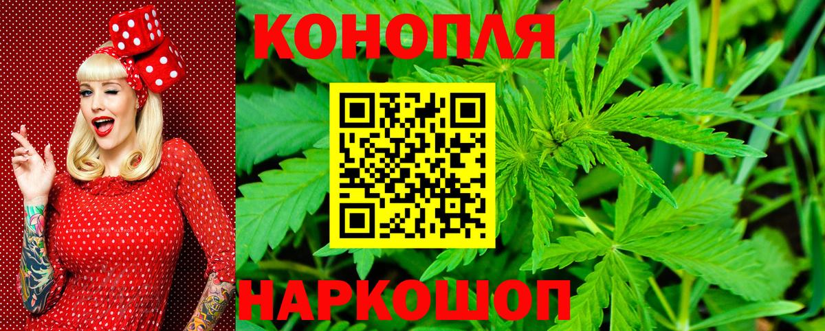 Бошки марихуана планчик  Конопля Ganja  Вход с VPN  Шишки марихуана тримм  Елизово  Шишки марихуана марихуана 